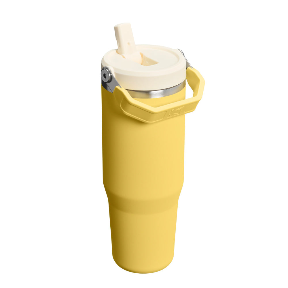 IceFlow 手提吸管杯2.0 | 0.88L | 金盞黃