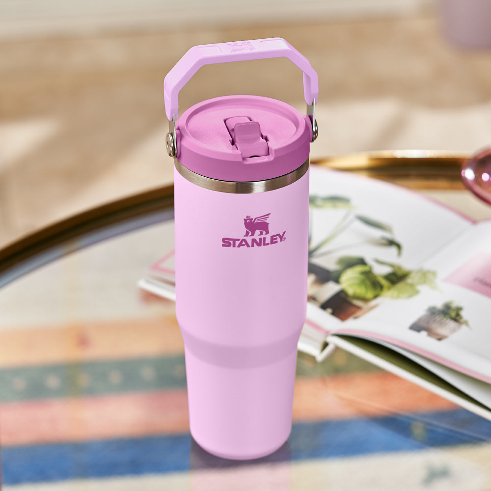 IceFlow 手提吸管杯2.0 | 0.88L |  霧粉紫