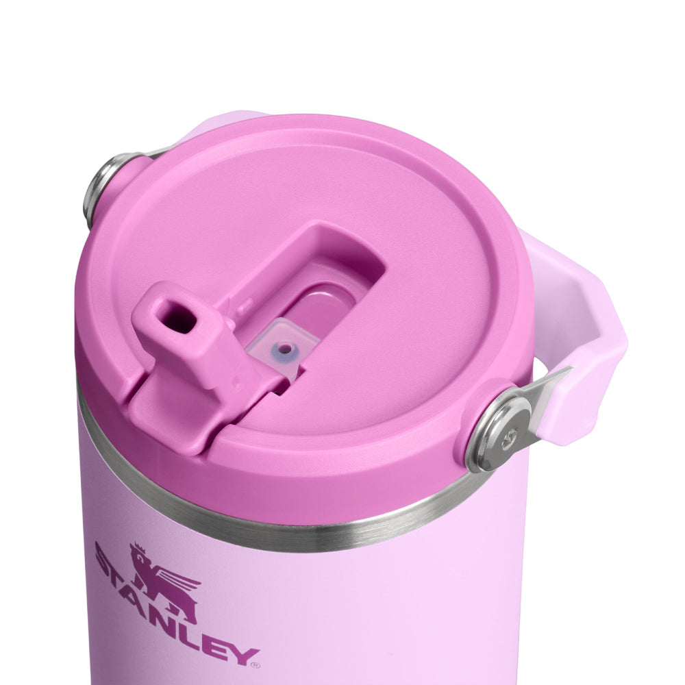 IceFlow 手提吸管杯2.0 | 0.88L |  霧粉紫