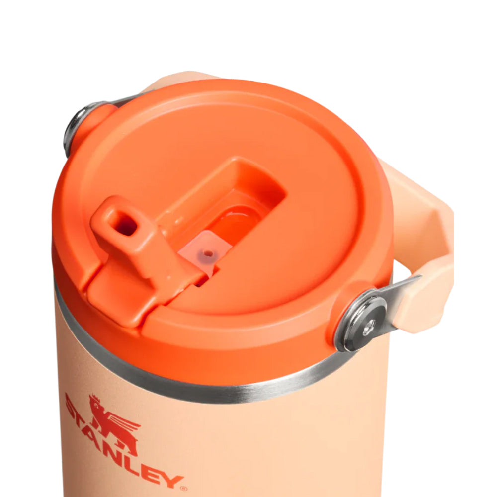 IceFlow 手提吸管杯2.0 | 0.88L | 雪酪橙