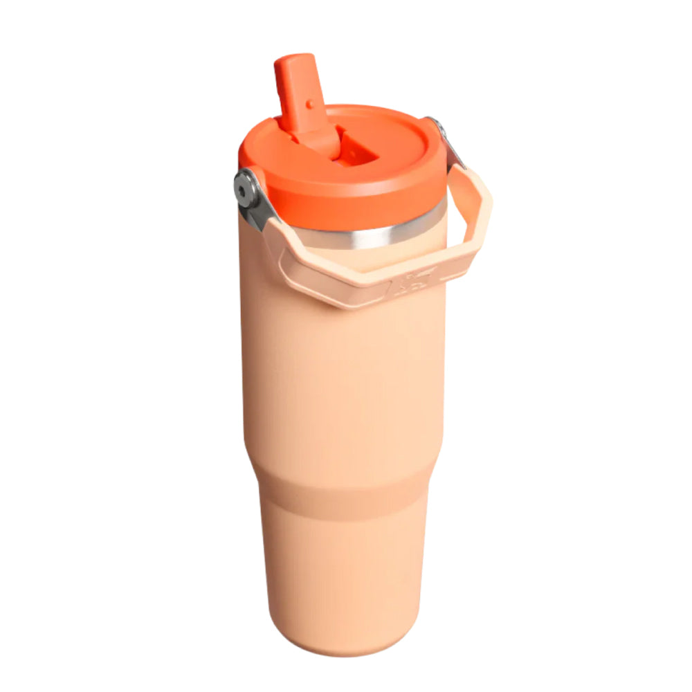 IceFlow 手提吸管杯2.0 | 0.88L | 雪酪橙