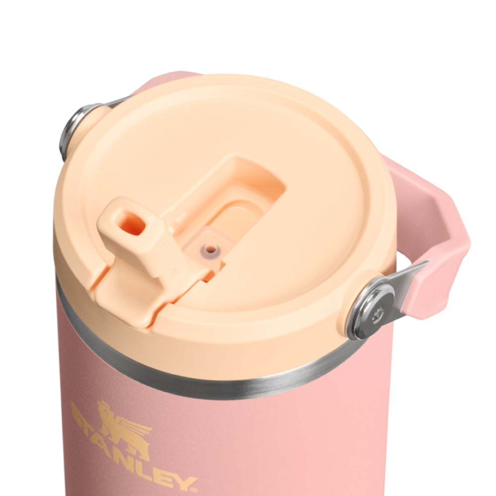 IceFlow 手提吸管杯2.0 | 0.88L | 蜜桃粉