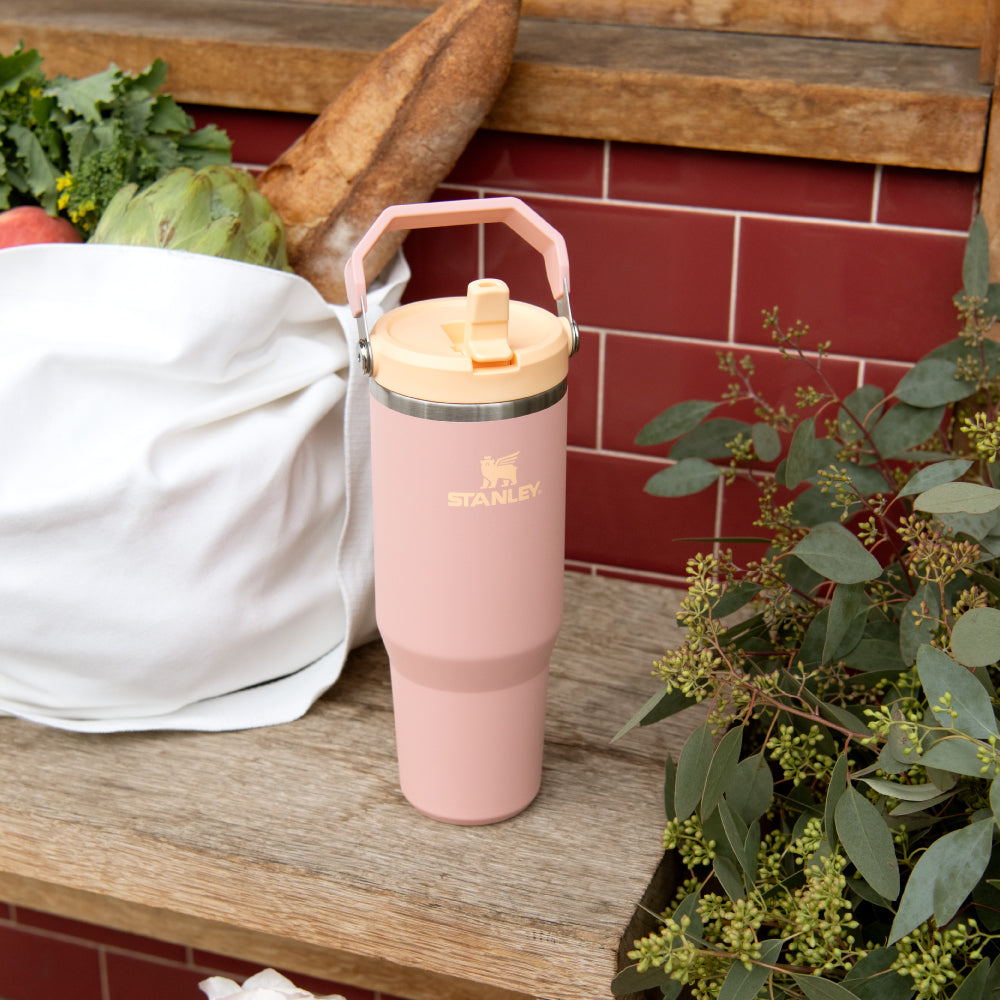 IceFlow 手提吸管杯2.0 | 0.88L | 蜜桃粉