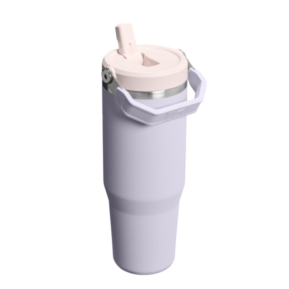 IceFlow 手提吸管杯2.0 | 0.88L | 柔霧紫