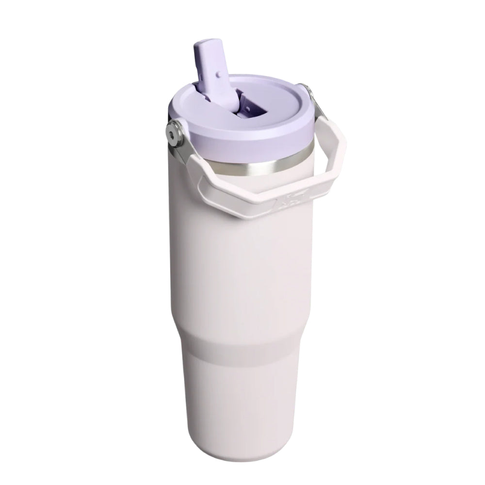 IceFlow 手提吸管杯2.0 | 0.88L | 米杏紫