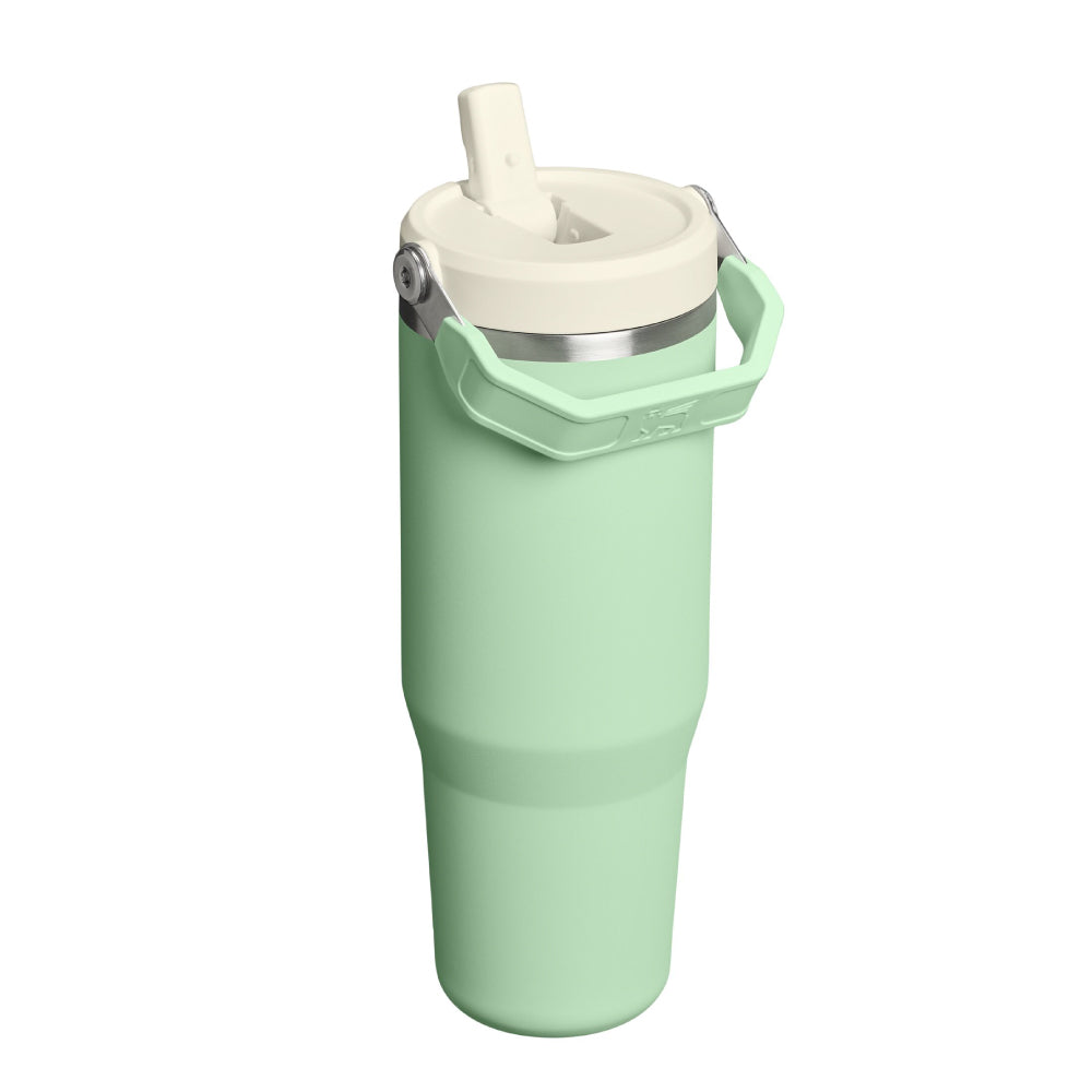 IceFlow 手提吸管杯2.0 | 0.88L | 開心果綠