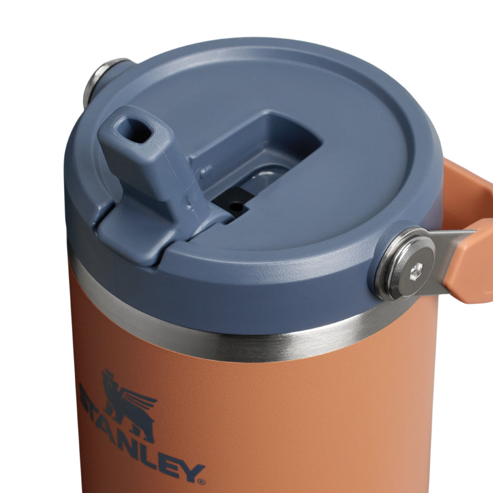 IceFlow 手提吸管杯2.0 | 0.88L | 暮日棕