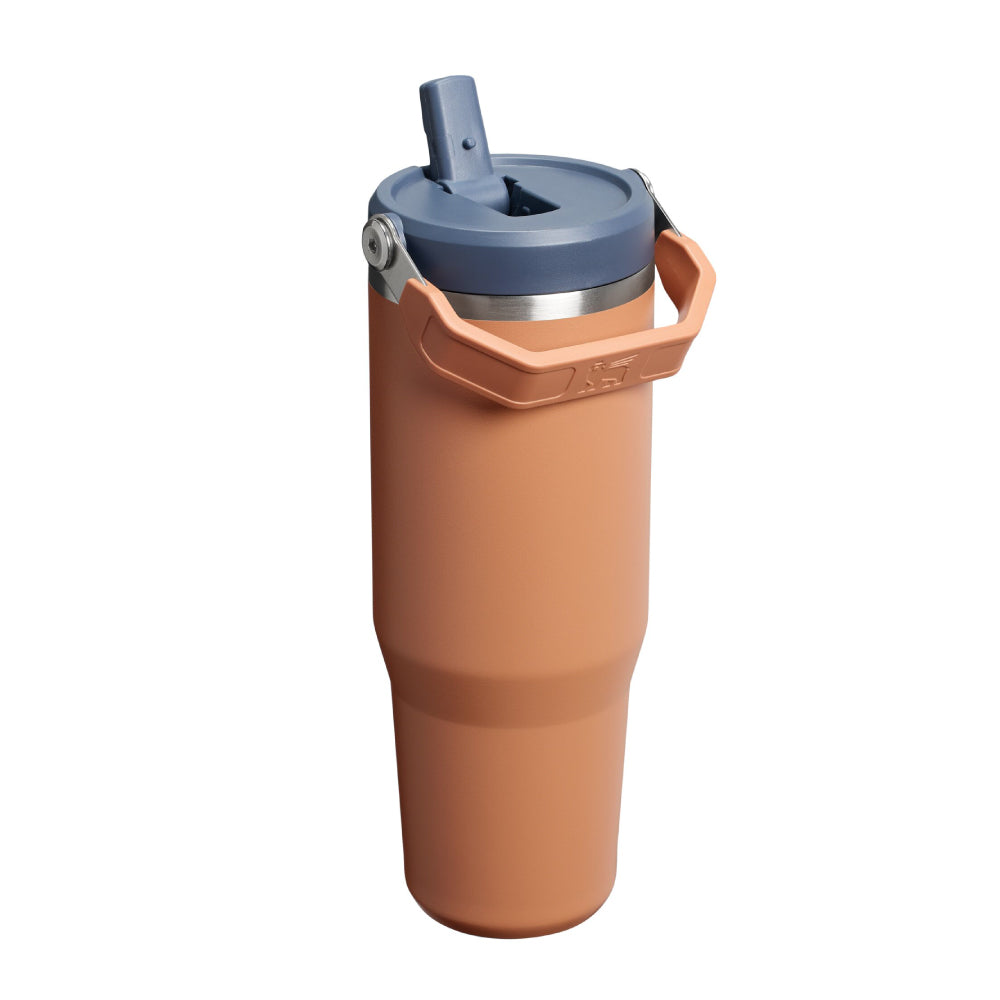 IceFlow 手提吸管杯2.0 | 0.88L | 暮日棕