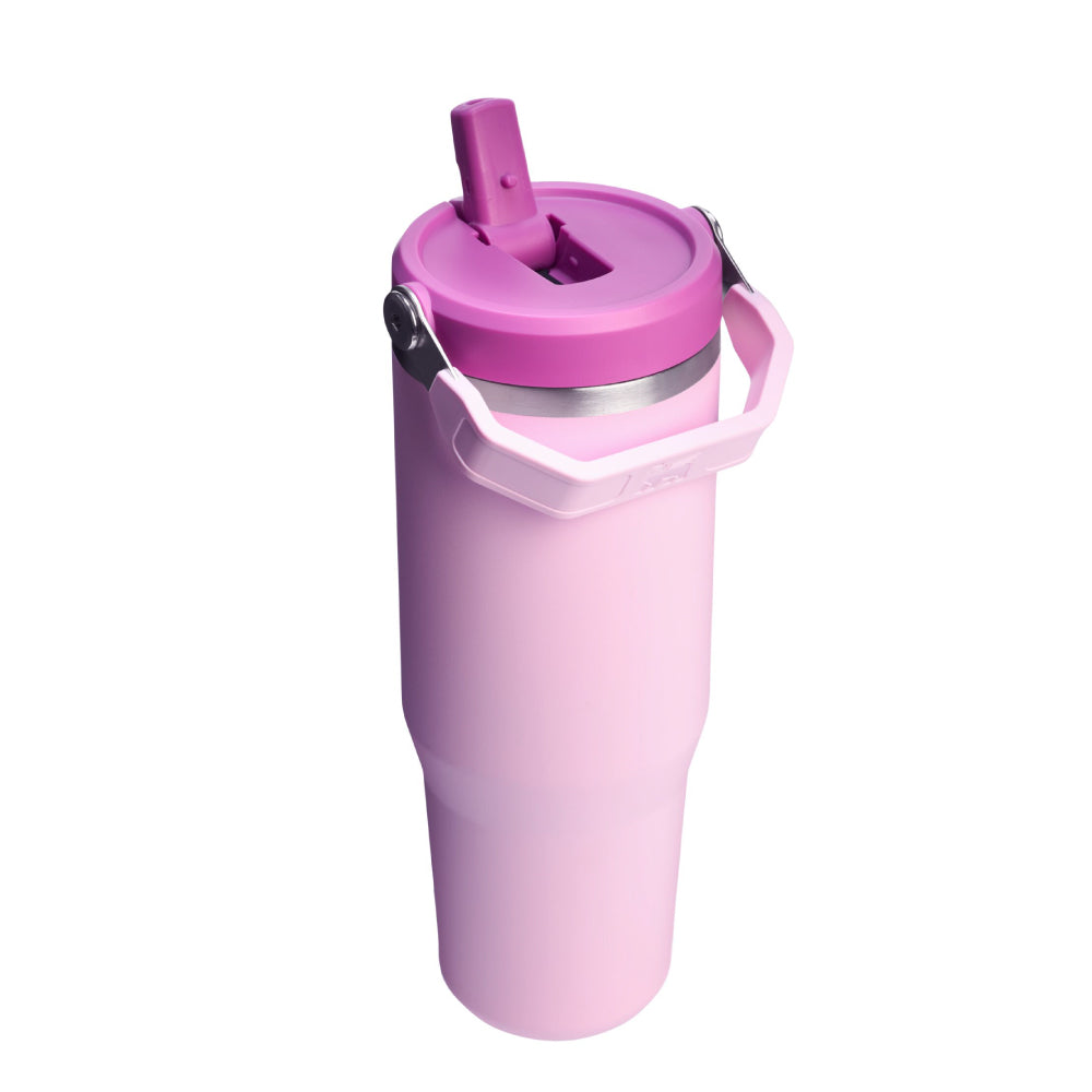 IceFlow 手提吸管杯2.0 | 0.88L | 春櫻粉