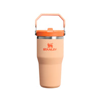 IceFlow 手提吸管杯2.0 | 0.59L | 雪酪橙