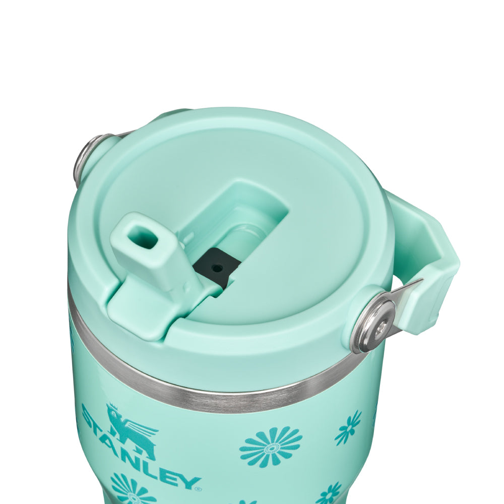 IceFlow 手提吸管杯2.0 | 0.59L | 薄荷雛菊