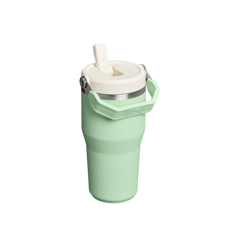 IceFlow 手提吸管杯2.0 | 0.59L | 開心果綠