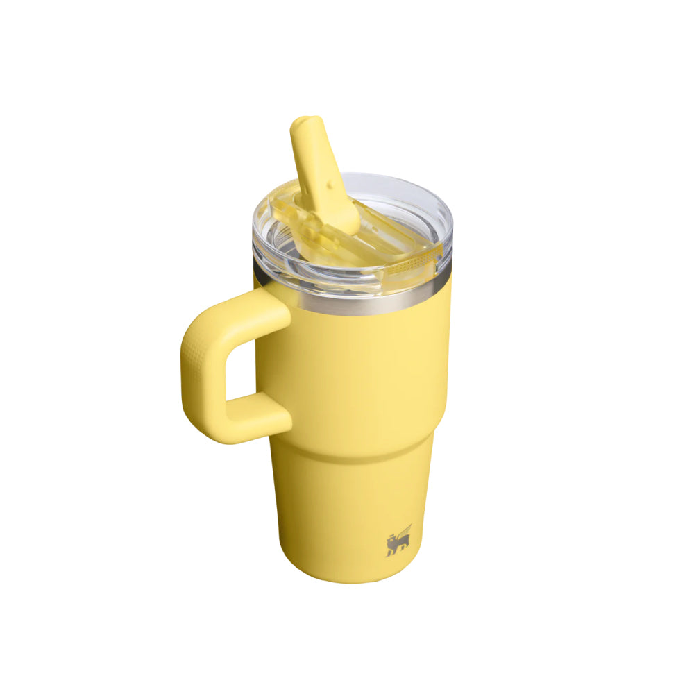 Quencher Protour 防漏吸管隨手杯 | 0.59L | 金盞黃