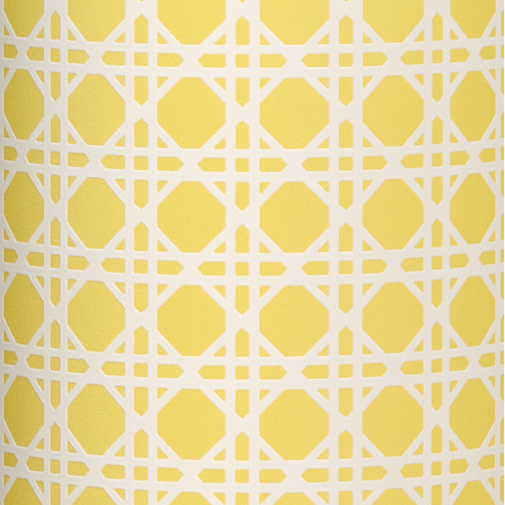 Quencher Protour 防漏吸管隨手杯 | 0.59L | 金盞藤編