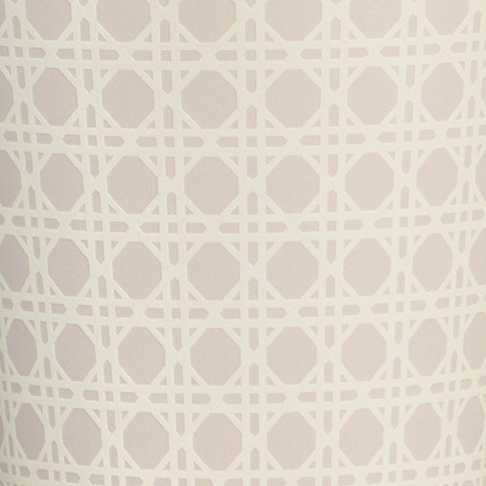 Quencher Protour 防漏吸管隨手杯 | 0.88L | 米杏藤編