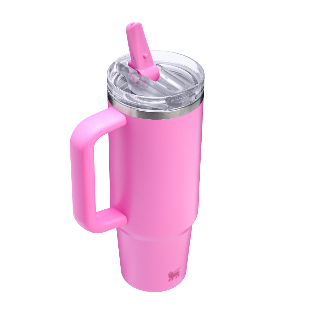 Quencher Protour 防漏吸管隨手杯 | 0.88L  | 冰果粉