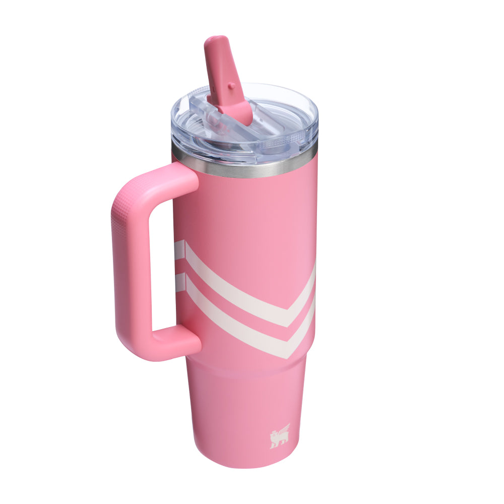 Quencher Protour 防漏吸管隨手杯 | 0.88L | 綠洲系列 復古甜粉