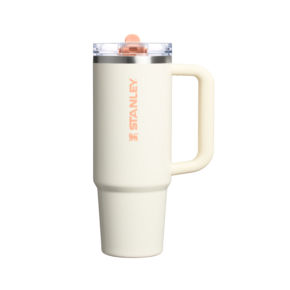 Quencher Protour 防漏吸管隨手杯 | 0.88L | 綠洲系列