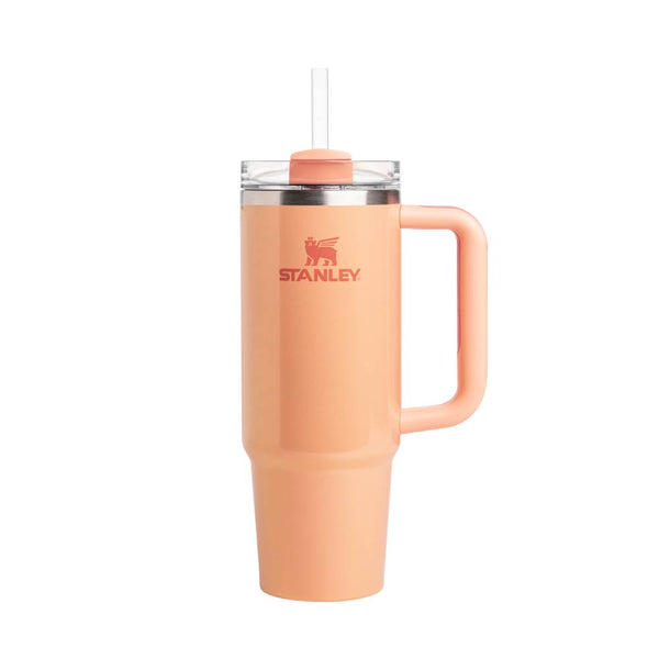 Quencher 吸管隨手杯2.0 | 0.88L | 氣泡橘