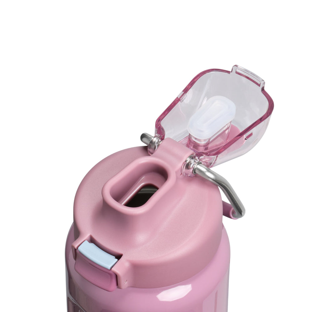 Wellspring 彈蓋提環水壺 | 0.7L | 光澤煙薰紫