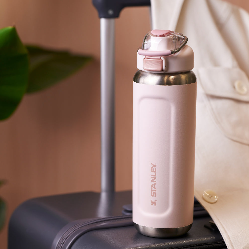 Wellspring 彈蓋提環水壺 | 0.7L | 山櫻粉