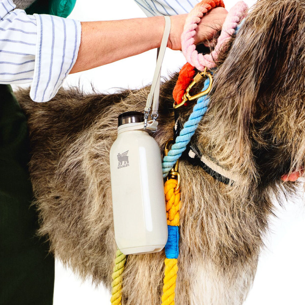 ALL DAY系列 自由掛扣隨行水壺 | 0.47L | 光澤奶油白